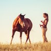 Berittvertrag und Haftung: Wann haftet der Pferdehalter bei einem Reitunfall?