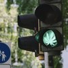 Neue Grenzwerte für THC im Straßenverkehr – alles im grünen Bereich?