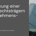 Ablauf und Wirkung einer Spaltung von Rechtsträgern (Teil 3 - Unternehmensumwandlung)