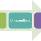 Umwandlung eines Einzelunternehmens (e.K.) in eine GmbH