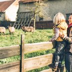 Erbrecht in der Landwirtschaft: Strategien zur Vermögensnachfolgeplanung