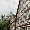 Sturm in Paderborn: Wann zahlt die Versicherung?