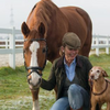 Rückabwicklung Pferdekauf wegen „Rittigkeitsproblemen“ (Widersetzlichkeiten“, „Kissing Spines“)